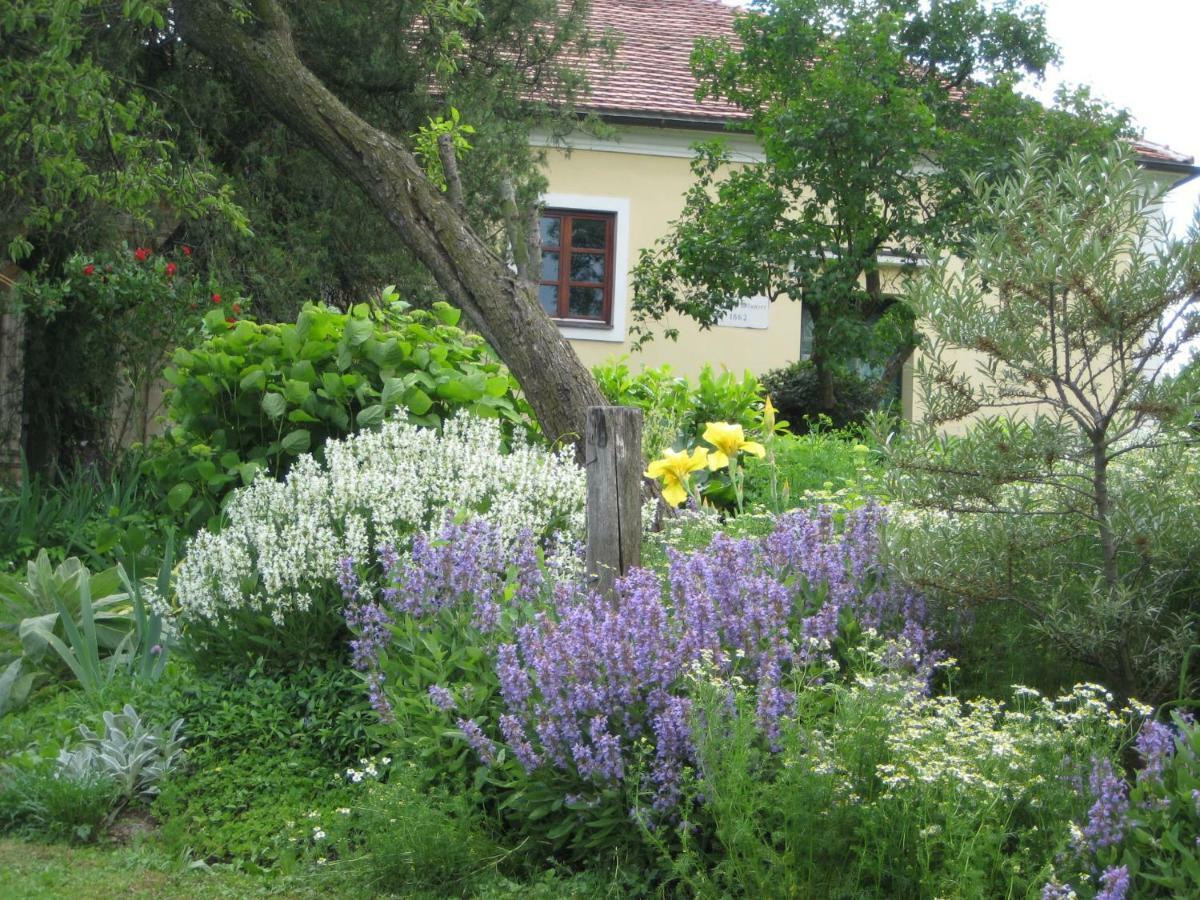 Mala Kmetija Bed and Breakfast Slovenske Konjice Exteriör bild